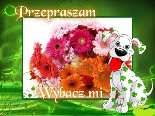 Dalmatyńczyk przepraszam